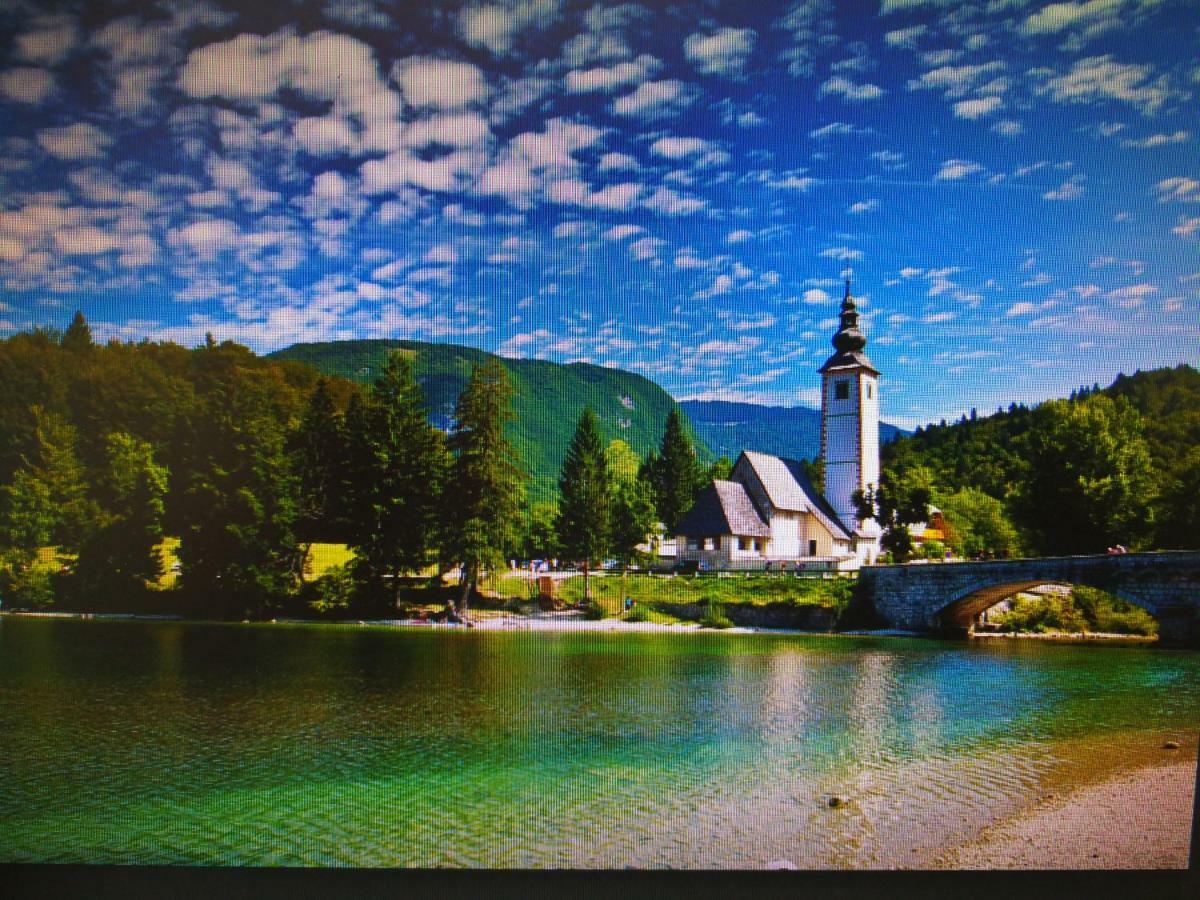 Planika B&M Apartamento Bohinj Exterior foto