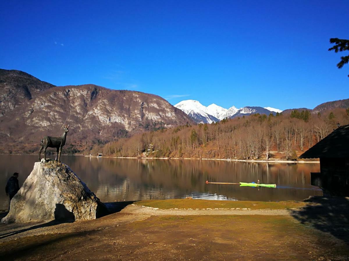 Planika B&M Apartamento Bohinj Exterior foto